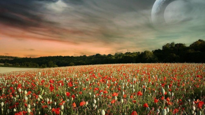 怎样方便快捷的把录音转成文字？